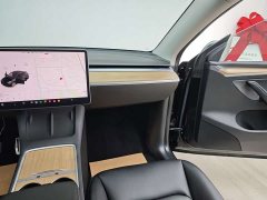 Tesla Model Y 2021 Standard Range RWD - ფოტო 16
