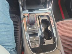 GAC Aion GS4 PLUS 270T Automatic Starry River Edition - ფოტო 16