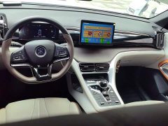 BYD Song Pro New Energy DM-i 51km Luxury - ფოტო 12