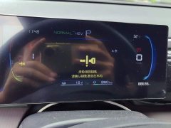 BYD Song Pro New Energy DM-i 51km Luxury - ფოტო 14
