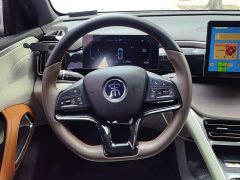 BYD Song Pro New Energy DM-i 51km Luxury - ფოტო 15