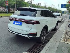 BYD Song Pro New Energy DM-i 51km Luxury - ფოტო 3