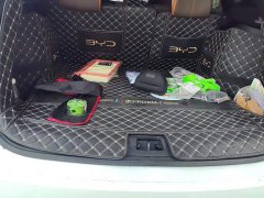 BYD Song Pro New Energy DM-i 51km Luxury - ფოტო 4