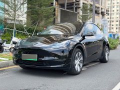 Tesla Model Y Long Range All-Wheel Drive - ფოტო 1