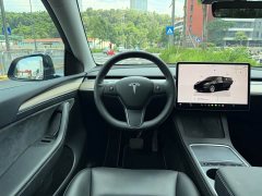 Tesla Model Y Long Range All-Wheel Drive - ფოტო 10