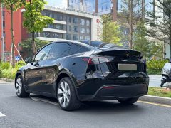 Tesla Model Y Long Range All-Wheel Drive - ფოტო 11