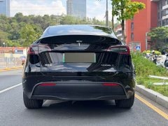 Tesla Model Y Long Range All-Wheel Drive - ფოტო 12