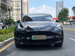 Tesla Model Y Long Range All-Wheel Drive - ფოტო 2