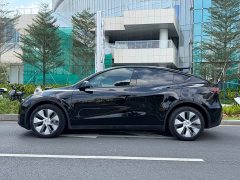Tesla Model Y Long Range All-Wheel Drive - ფოტო 3