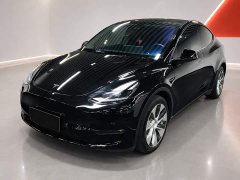 Tesla Model Y Long Range All-Wheel Drive 3D7 - ფოტო 1