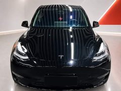Tesla Model Y Long Range All-Wheel Drive 3D7 - ფოტო 2