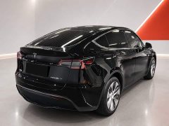 Tesla Model Y Long Range All-Wheel Drive 3D7 - ფოტო 4