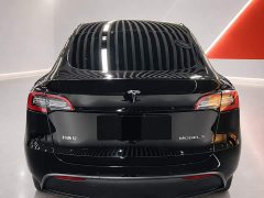 Tesla Model Y Long Range All-Wheel Drive 3D7 - ფოტო 5