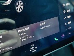 Tesla Model Y Long Range All-Wheel Drive 3D7 - ფოტო 9