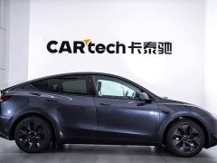 Tesla Model Y 2024 Rear-Wheel Drive - ფოტო 3