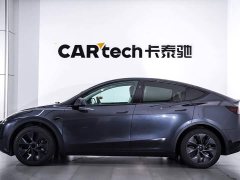 Tesla Model Y 2024 Rear-Wheel Drive - ფოტო 8