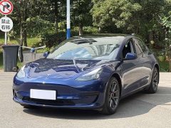 Tesla Model 3 Facelift Standard Range RWD Upgrade 3D1 - ფოტო 1