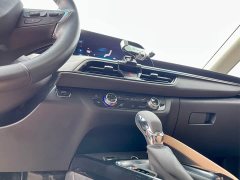 Buick GL6 2021 323T Hybrid Connected Luxury - ფოტო 16