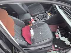 Volkswagen Tiguan L Outstanding Edition 300TSI Automatic Two-Wheel Drive Dragon Ascendant Version - ფოტო 8