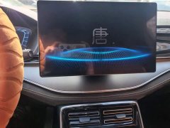 BYD Yuan Plus DM-i Champion Edition 112KM Honor Trim - ფოტო 13