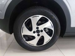 Geely Star Wish 480km Explorer Edition - ფოტო 10
