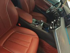 BMW 5 Series 530Li Premier M Sport Package - ფოტო 8