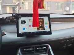 BYD Qin PLUS DM-i Smart Drive 128KM Entry-Level - ფოტო 13