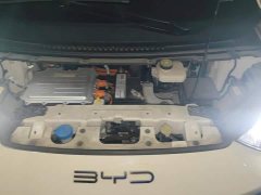 BYD Seagull Freedom Edition - ფოტო 10