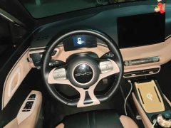 BYD Seagull Freedom Edition - ფოტო 15