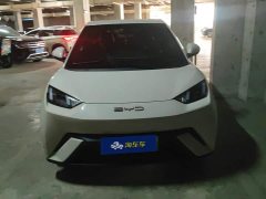 BYD Seagull Freedom Edition - ფოტო 2