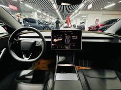 Tesla Model 3 Rear-Wheel Drive - ფოტო 8