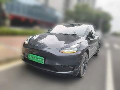 Tesla Model Y Rear-Wheel Drive - ფოტო 1