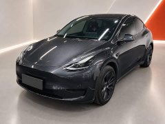 Tesla Model Y Rear-Wheel Drive - ფოტო 1