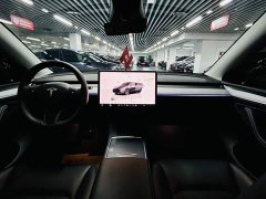 Tesla Model Y Rear-Wheel Drive - ფოტო 8