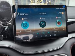 BYD Song Plus 2020 1.5T Automatic Flagship - ფოტო 13