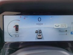 Geely Xingyue L 2021 2.0TD DCT EVO FWD Luxury - ფოტო 14