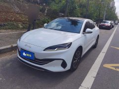 BYD Seal 06 DM-i 120KM Honor Edition - ფოტო 1