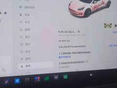 Tesla Model 3 Standard Range RWD Upgrade - ფოტო 14