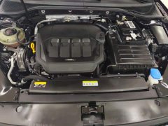 Volkswagen Magotan 2021 330TSI DSG 30th Anniversary Edition - ფოტო 10