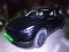 Tesla Model Y 2023 Long Range All-Wheel Drive - ფოტო 1