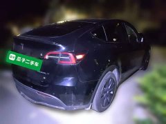 Tesla Model Y 2023 Long Range All-Wheel Drive - ფოტო 4