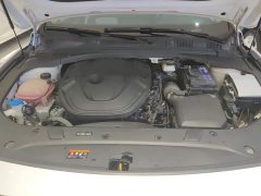 Geely Xingui Xingrui 2.0T Diesel Premium - ფოტო 10