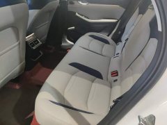 Geely Xingui Xingrui 2.0T Diesel Premium - ფოტო 11