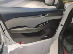 Geely Xingui Xingrui 2.0T Diesel Premium - ფოტო 7