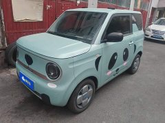 Geely Panda Mini 200km Endurance Edition - ფოტო 1
