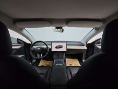 Tesla Model 3 2022 Rear-Wheel Drive - ფოტო 18
