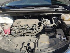 Toyota Sienna 2.5L Hybrid Comfort Edition - ფოტო 10