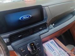 Ford Watson Wilford Black Warrior 2.0T Gasoline Standard Edition - ფოტო 13