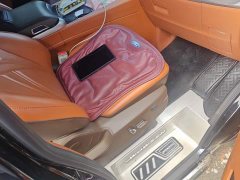 Ford Watson Wilford Black Warrior 2.0T Gasoline Standard Edition - ფოტო 8