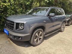 Great Wall Dachshund 1.5T DCT Two-Wheel Drive Labrador Edition - ფოტო 1
